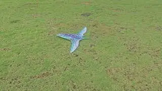 Hypervolution XH5F &ldquo;Aetherwing&rdquo; Testflight with paint 07.09.25