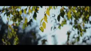 La Naturaleza - Estilo CINEMATOGRAFICO | Cinematic video