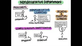 Declarative and Nondeclarative Memory &ndash; WRIT340 A2 Audio Visual Component