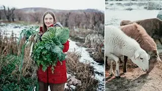 Итак, ваша ферма НЕ ИДЕАЛЬНА... | Зима на ферме