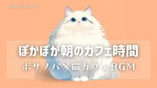 【癒しの猫カフェbgm】朝の時間を整えるボサノバ | 作業・勉強・朝活音楽