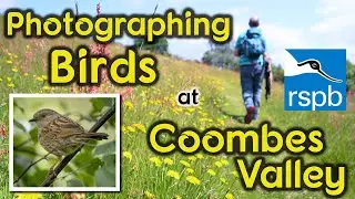 Photographing Birds at RSPB Coombes Valley Nature Reserve
