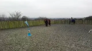Cherry Arnold and JP practical horsemanship fnt14016