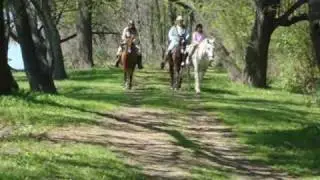 Riding & Polo in Argentina