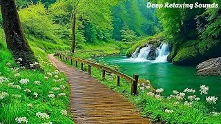 Music Heals the Heart and Blood Vessels 🌿 Relaxing Nature Sounds for the Mind and Deep Sleep