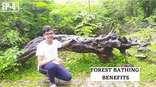 Benefits of 'FOREST BATHING' Ep-4|Benefits of 'SHINRIN-YOKU'| Simply plants|