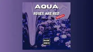 AQUA - Roses Are Red [Techno] (RAWMEO Remix)
