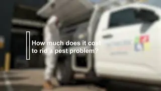 How much does it cost to rid a pest problem