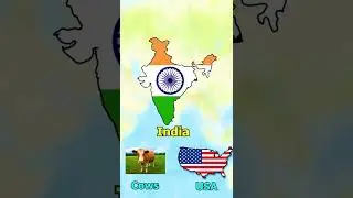 Did you know in India....