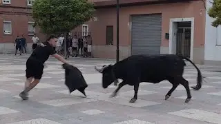 Festejos Taurinos en Bonrepos y Mirambell 2025- Toro, vacas y embolada de Ramon Benet. Penya 2000.