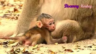 Extremely so sadness & poor newborn is very dirty & diarrhea/ Newborn Brindy feels so fearful crying