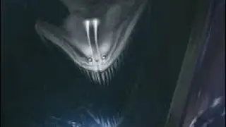 os ningen vs o bloop