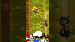 Secret Placement Spots on Cornfield