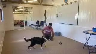 Teaching an Informal play retrieve