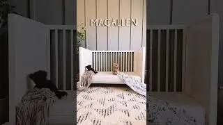 Toddler Room Transition