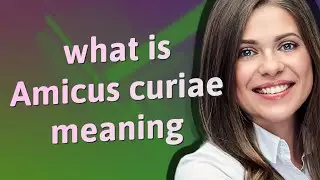 Amicus curiae | meaning of Amicus curiae