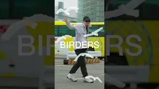 &rdquo;F!C!O! - BIRDERS&rdquo; OUT NOW🕊️