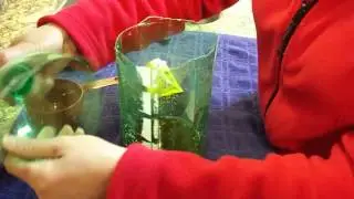 A Simple and Easy Way... To Create Your Own Insect Trap
