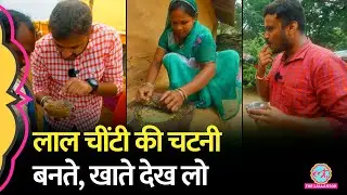 लल्लनटॉप ने चखी लाल चींटी की चटनी! | Red Ant Chutney | Chapda Chutney | Amcho Bastar
