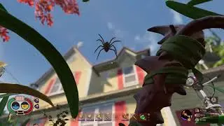 WHEN DID SPIDERS FLY