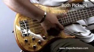 MTD Kingston Z5 Bass w/ Rosewood Fingerboard Demo - The Perfect Bass