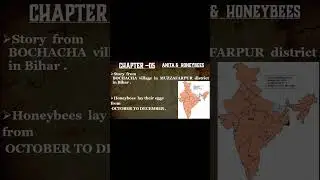 CTET 2026 | Honey Bee | EVS Insects, Pollination & Pedagogy Explained | NCERT Based | learn constant