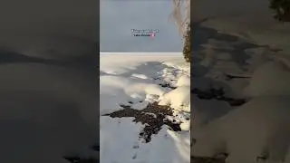 Lake Simcoe in Ontario, Canada frozen and covered with snow ❄️ 🇨🇦 #shorts #canada #explore