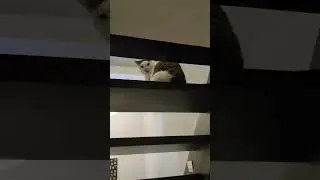 wie lange geht dieses Video?