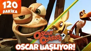 Oscar Çöllerde Başlıyor! 🦎 | Minika