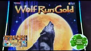 MASSIVE WIN🐺WOLF RUN Gold