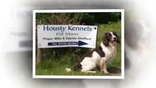 Dog Boarding/Dog Breeding - Housty Kennels