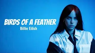 Billie Eilish - BIRDS OF A FEATHER (Lyrics)