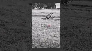 Meet the world's militaries ✨️ #funny #military
