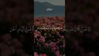 #holland #france #sucess #spain #germany #russia #greece #iran #islamvideo #nor #sess #h #p #x #n #b
