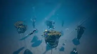 Wonder Reef &ndash; Gold Coast Dive Attraction