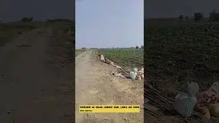 Trueview 4g solar camera Dual Lence 10x zoom 🔥 || 2025  #shorts  #solarcamera  #syedtechsolutions