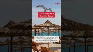 Things To Do In Abu Dhabi For Free | TRAVELWINGS