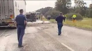Horror smash