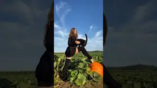 first day of fall at a beautiful pumpkin patch #ballerina #autumn #fall #hocuspocus #pumpkin #artist