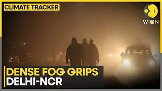 Dense Fog Grips Delhi-NCR| IMD Issues Yellow Alert for Fog | CLIMATE TRACKER