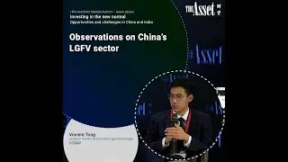 Observations on China&rsquo;s LGFV sector