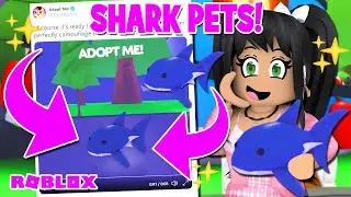 ADOPT ME LEAKED THE SHARK PET 🦈 VIDEO FOOTAGE in ADOPT ME (roblox) OCEAN EGG