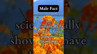 Want a Happier Relationship? Science Says Do THIS at Home! #ScienceOfLove #HappyRelationships