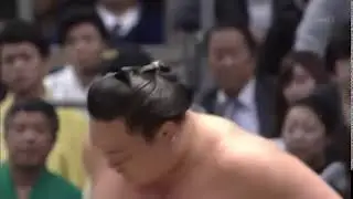 sumo meme