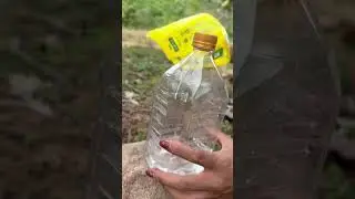 Survival Skill : Make hand sanitizer with water bottle #survival #camping #jungle