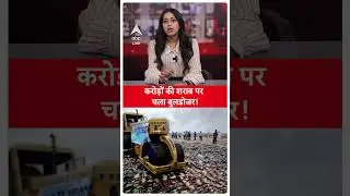 Gujarat News: गुजरात में करोड़ों की अवैध शराब पर चला बुलडोजर | ABP LIVE