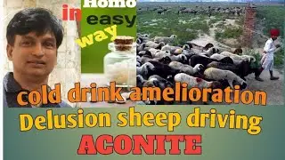 Aconite ,Rubric=Delusions -sheep -driving,cold drink amel