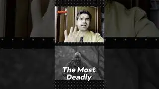 DID YOU KNOW DONGA WAS.. 🤯😱 #bollywood