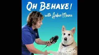 Oh Behave - Episode 560 Lessons Learned From A Reactive Dog Named Mick