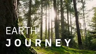 Shamanic Earth Journey Meditation For Intuition And Inner Guidance